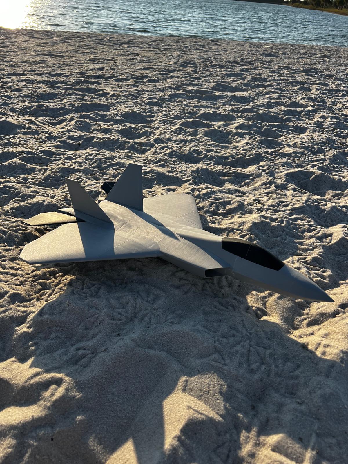 F-22 "Silver Talon" Fighter Jet