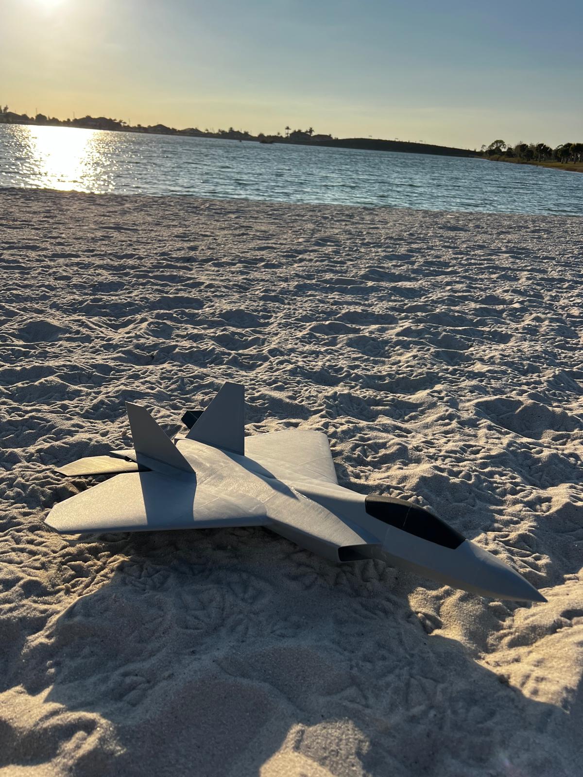 F-22 "Silver Talon" Fighter Jet