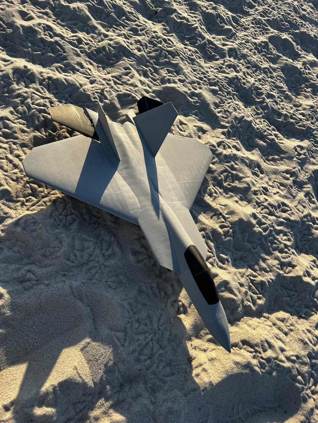 F-22 "Silver Talon" Fighter Jet